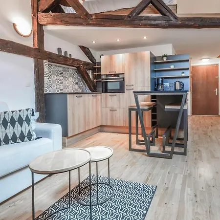 Tyni House Furnished Flat Appartamento Annecy